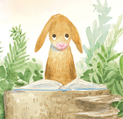 9783855815982_lesefest_2_©BohemPress