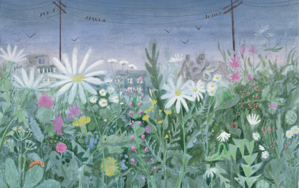 9783959392495_wiese_4_©BohemPress