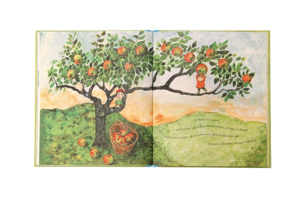 Zwei Jungs auf einem großen Baum pflücken Äpfel und sammeln diese in einem Korb