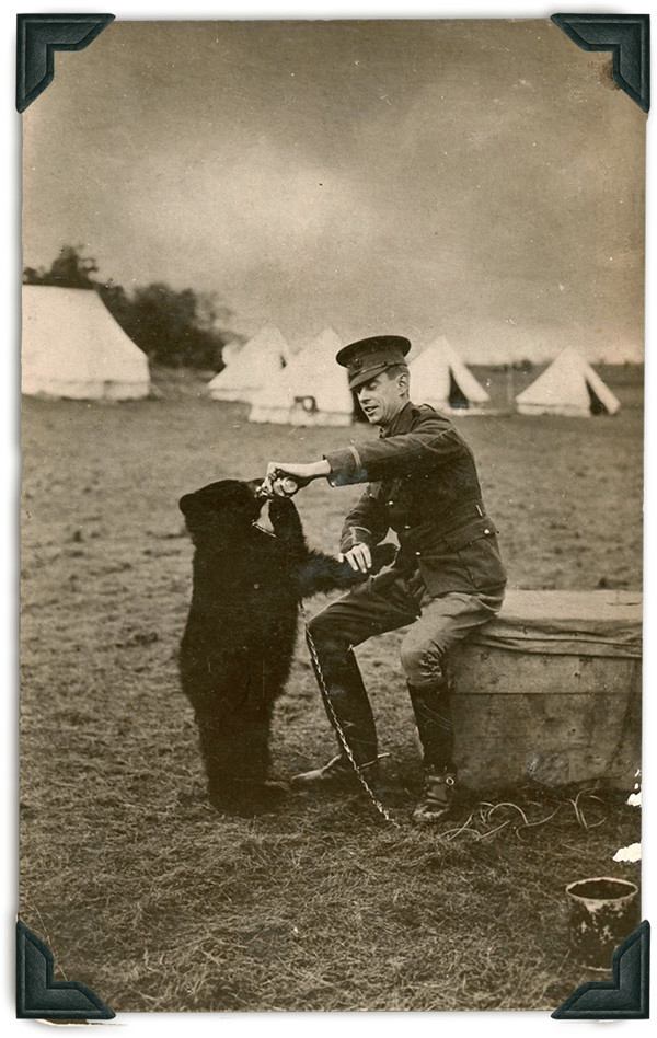 Originalbild vom Soldaten der Babybären füttert